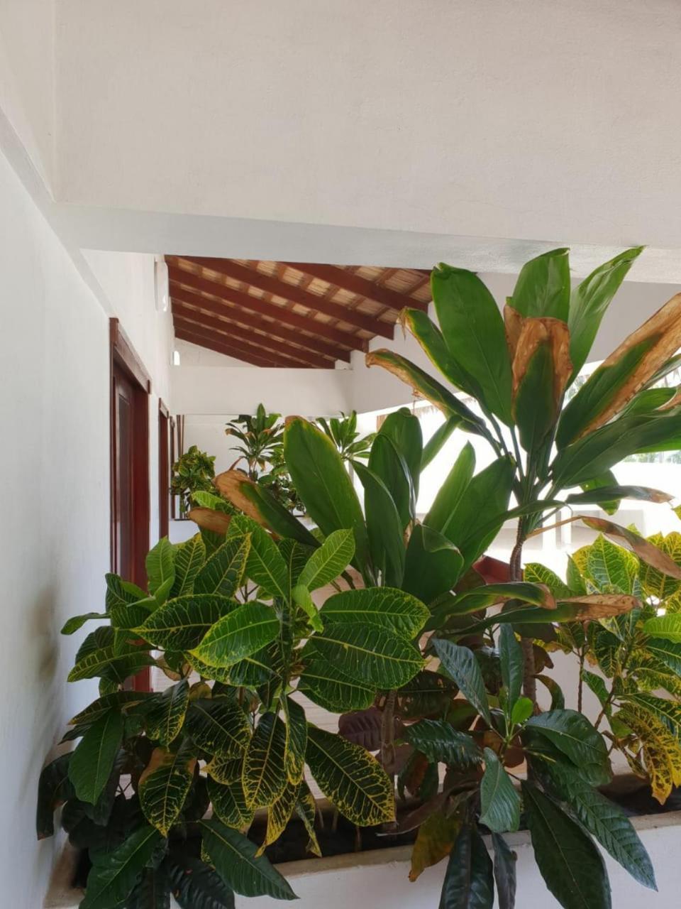 Barahona Oasi Encantada - Beach Resort מראה חיצוני תמונה
