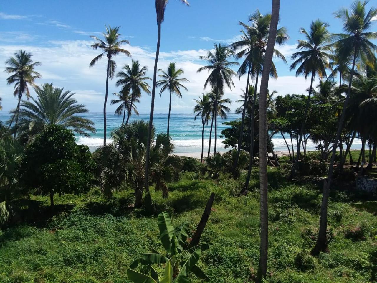 Barahona Oasi Encantada - Beach Resort מראה חיצוני תמונה